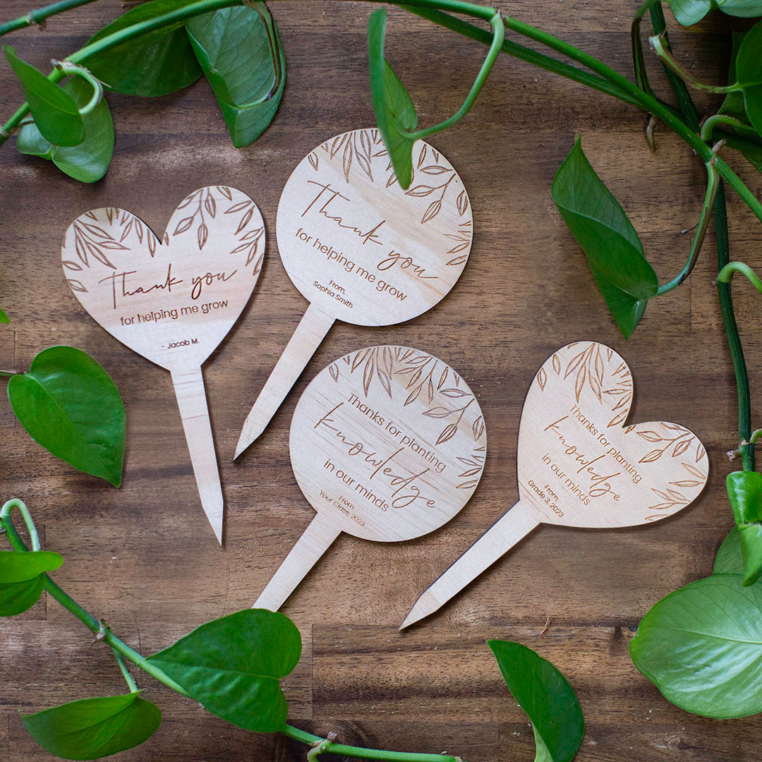 Top view of all four Hello Fern wooden teacher plant stakes surrounded by ferns.