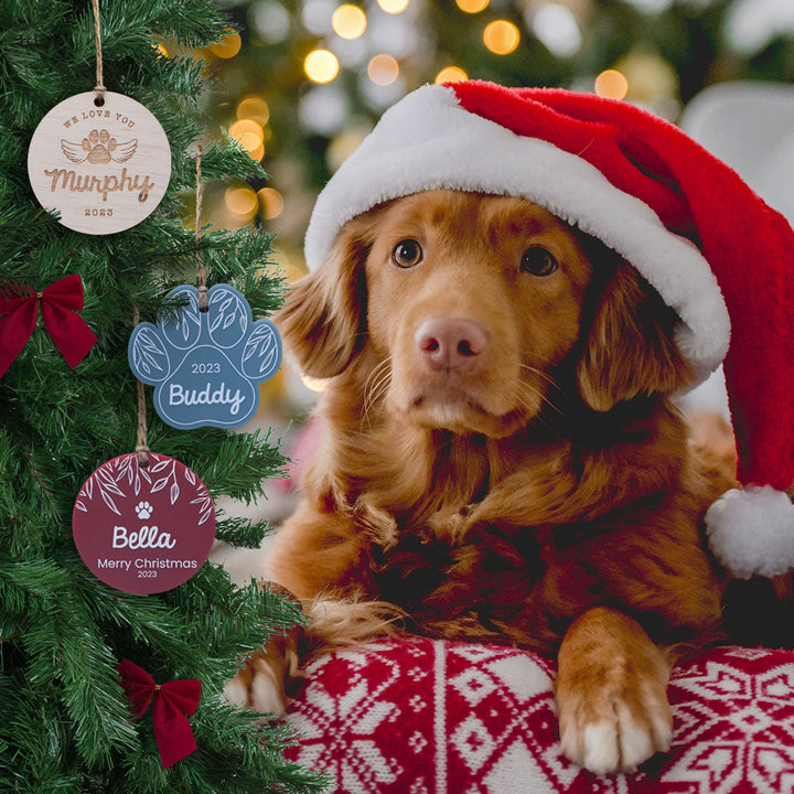 Dog with Santa hat at Christmas time sitting next to tree with three Hello Fern custom pet ornaments.