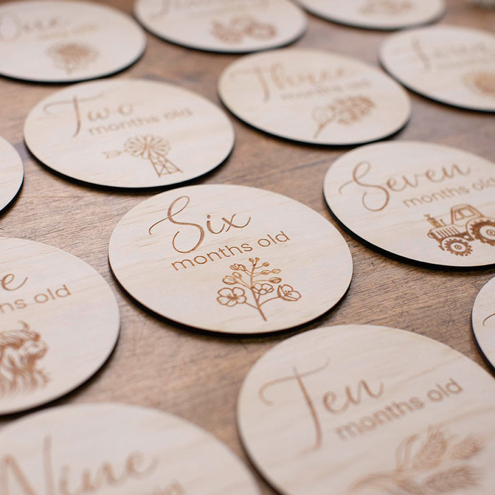 Closeup view of Six months old disc from the Hello Fern Country Month Milestone wooden disc set for baby.