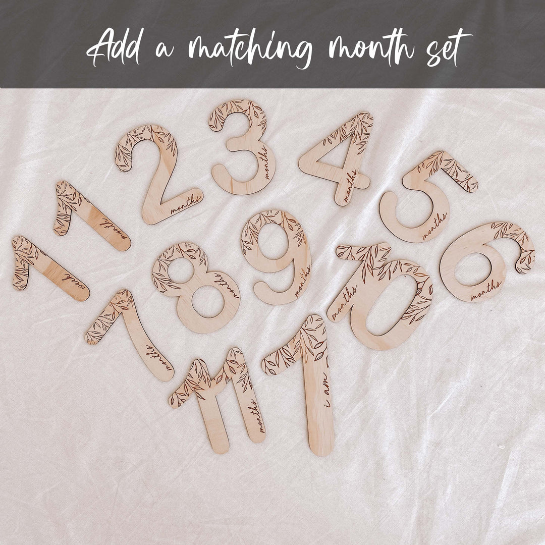 Wooden pregnancy milestone card discs - Vine