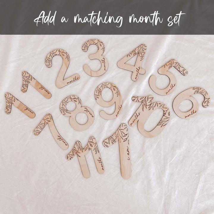 Wooden pregnancy milestone card discs - Vine