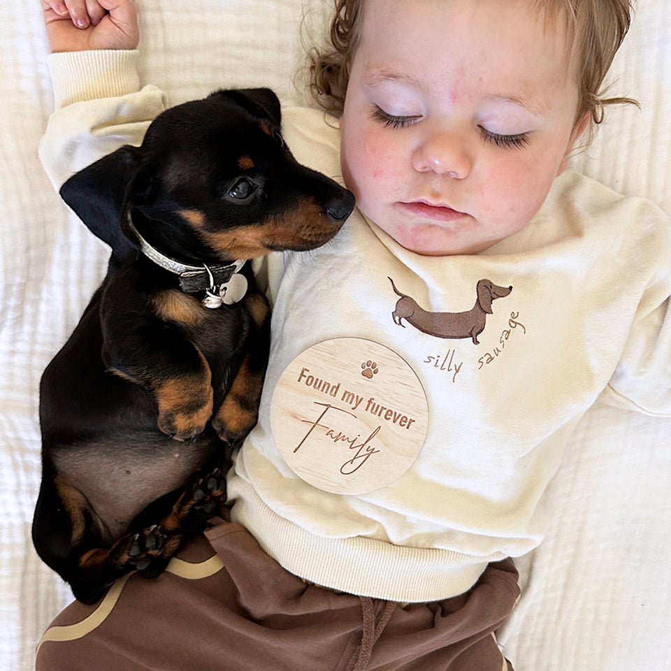 Top view of baby boy sleeping with adorable black and tan dachshund puppy cuddling up and a Hello Fern 'Found my furever Family' wooden puppy achievement milestone disc.