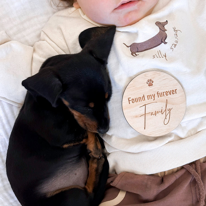 Adorable black and tan dachshund puppy cuddling up with baby boy with Hello Fern 'Found my furever family' puppy achievement milestone disc.