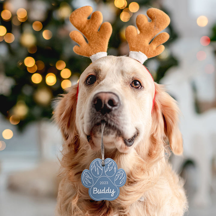 Golden retriever with Christmas antlers holding a Hello Fern blue acrylic paw ornament in its mouth.